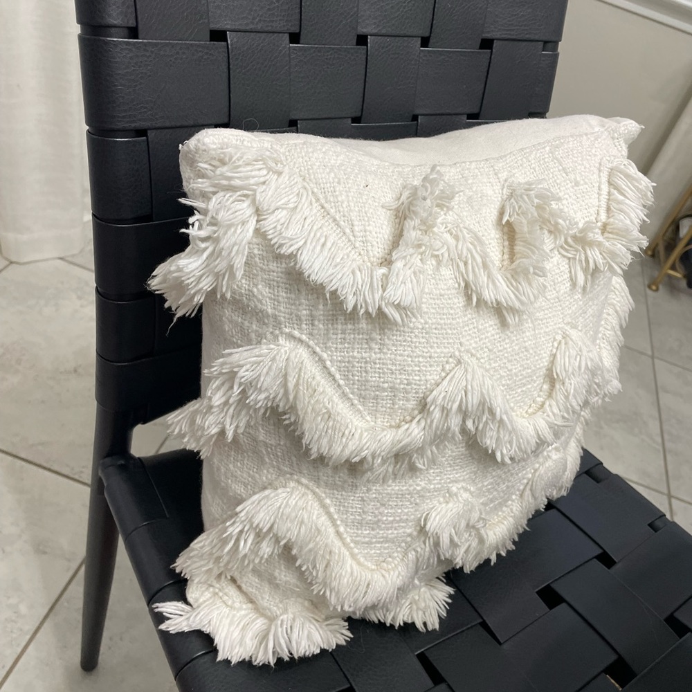 2 Uncommon James Fringe Pillow Covers